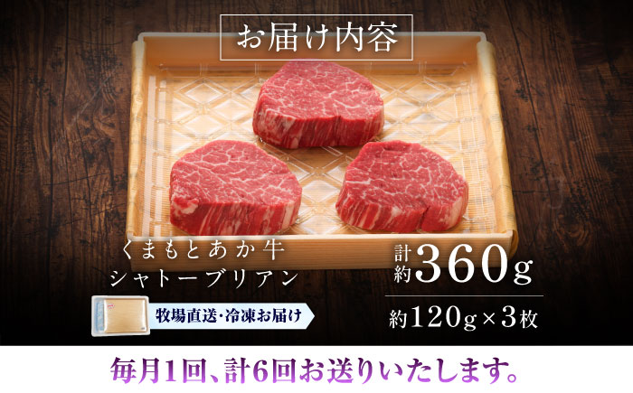 【全6回定期便】【GI認証】くまもとあか牛シャトーブリアン 約120g×3枚 / 菊陽町 あかうし 熊本県 肉 にく niku ブランド 旨み 【有限会社 三協畜産】 [BHAS073]