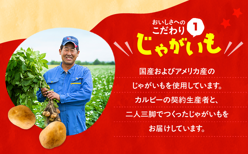 カルビー ポテトチップス【のりしお】16袋　K194-002_07