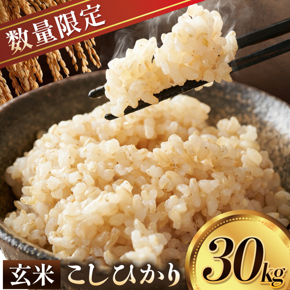 【ふるさと納税】【楽天限定】米 令和7年産 こしひかり コシヒカリ 玄米 30kg 1袋 まちづくり河内株式会社かわち夢楽《9月中旬頃より出荷開始》茨城県 河内町 こめ お米 ご飯