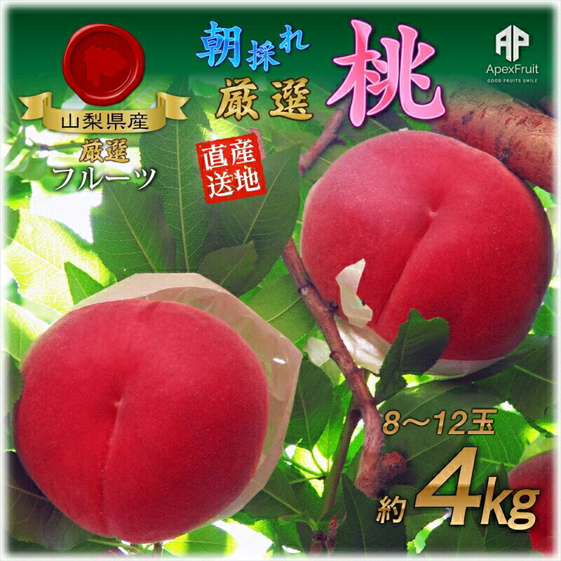 【ふるさと納税】 【25年発送先行予約】厳選！南アルプス市産　朝採れ桃　約4kg（8〜12玉） ふるさと納税 もも 桃 大玉 朝採れ 果物 フルーツ おすすめ 山梨県 南アルプス市 送料無料 ALPDD007
