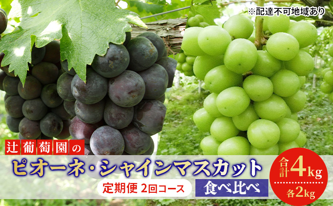 
[№5615-0430]ぶどう 定期便 2回コース 食べ比べ ピオーネ シャインマスカット 各約2kg ご家庭用 辻葡萄園 葡萄 フルーツ 果物 岡山県産
