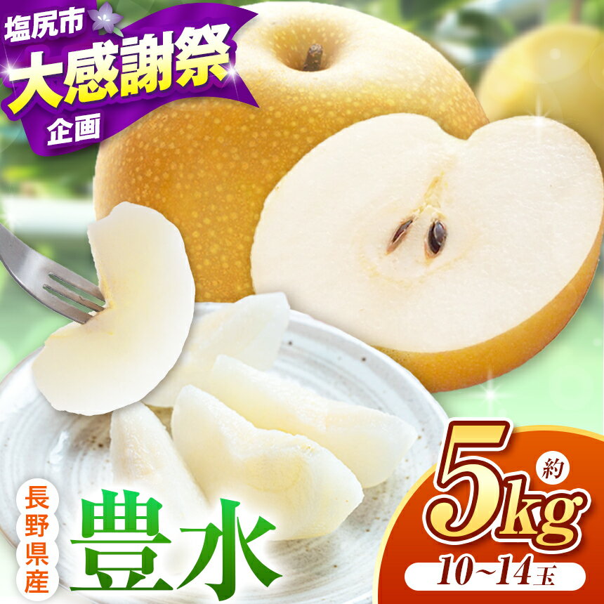 【ふるさと納税】【2026年先行予約】長野県産 豊水 約5kg （ 10 ～ 14 玉 ）【9月中旬～10月上旬にかけて順次発送予定】 | 果物 くだもの フルーツ 梨 なし ナシ 豊水 甘い ジューシー シャリ感 長野県 塩尻市