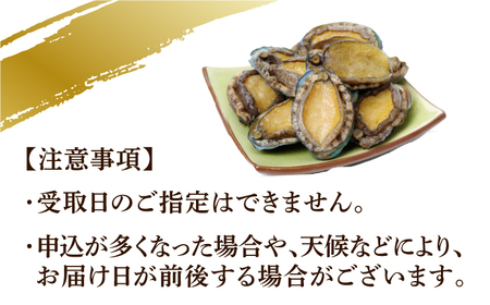 【全12回定期便】【活きたままお届け！】上五島産 養殖 ひとくち アワビ 活 厳選 300g 刺身 ステーキ 生【豊建設株式会社】[RAE017]