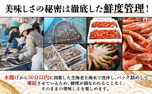 B-421《受付再開》冷凍えびセット(芝えび1kg・むき甘えび20尾×2）