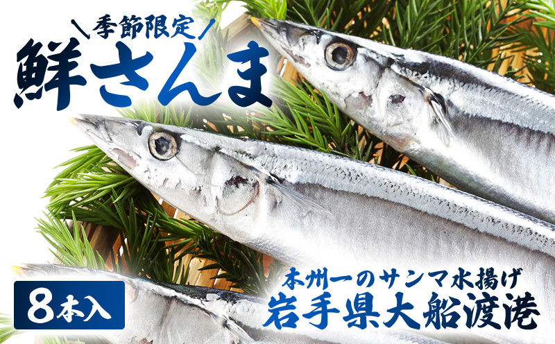
鮮さんま 8本入 (1尾 100g〜120g) 岩手大船渡産 サンマ 秋刀魚 海鮮 魚貝類 魚介類 産地直送 新鮮 期間限定 鮮魚 新鮮さんま 魚 焼き魚 三陸さんま 岩手 大船渡市
