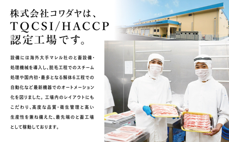 鹿児島産黒豚ロースしゃぶしゃぶ用 計1kg（500g×2P）国産 鹿児島県産 豚肉 黒豚 豚しゃぶ しゃぶしゃぶ すき焼き ロース スライス うす切り肉 薄切り お取り寄せ かごしま グルメ 鍋 鹿児