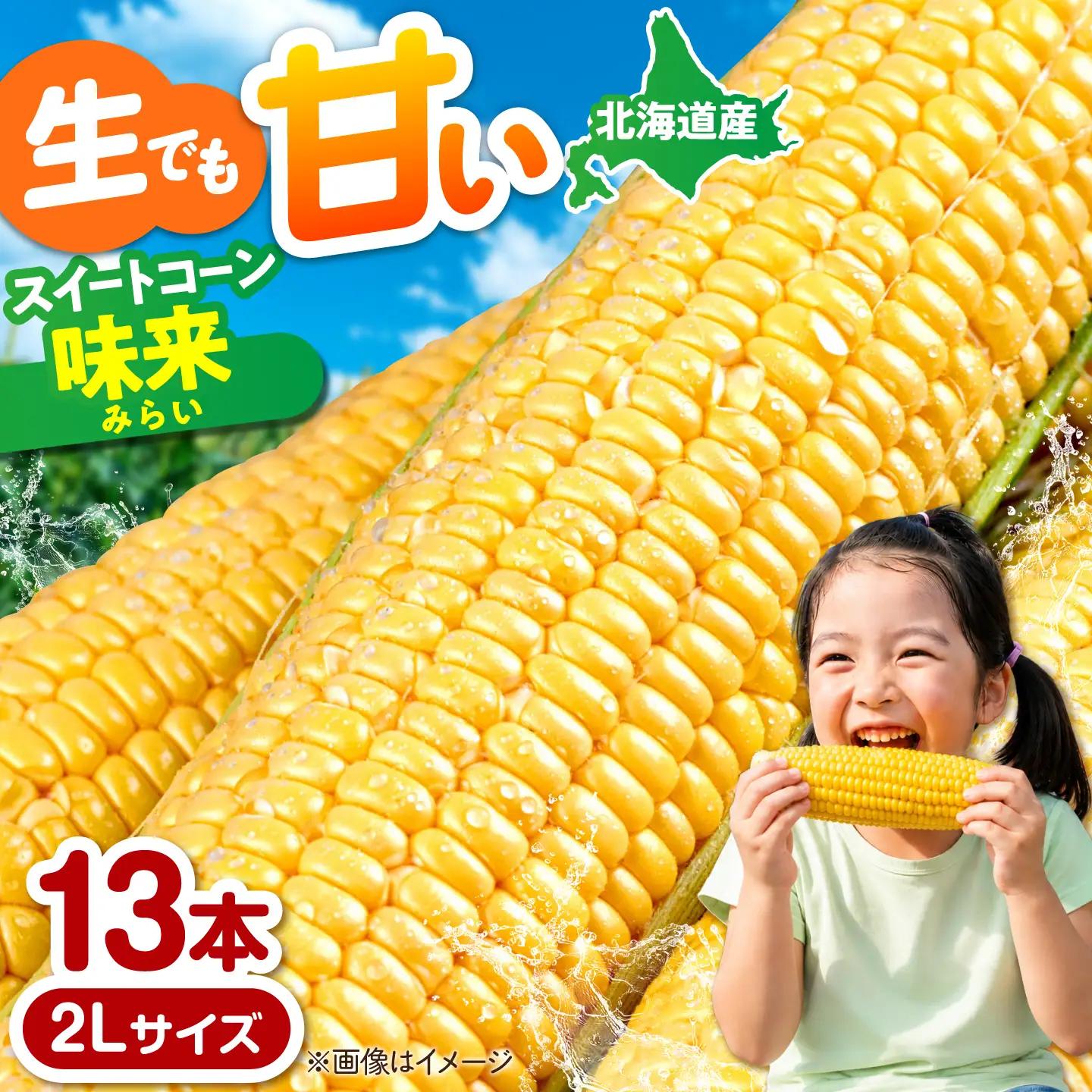 【ふるなびWEEK対象】とうもろこし 味来 13本 [AJAK006] とうもろこし