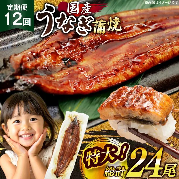 【定期便12回】 うなぎ 蒲焼 国産 特大 2尾 うなぎ
