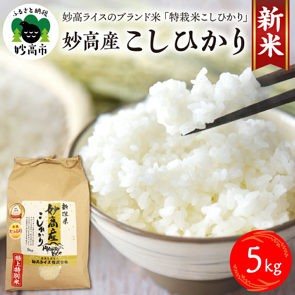 【ふるさと納税】令和7年産 妙高産 こしひかり 特別栽培米 5kg 9月中旬より順次発送予定 コシヒカリ 新米 米 精米 白米 お米 2025年産 ブランド米 農家直送 産地直送 送料無料 お取り寄せ グルメ ご当地 特産 産地 先行予約 新潟県 妙高市