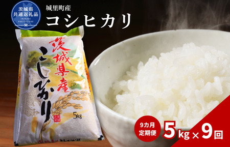 【9カ月定期便】コシヒカリ 5kg（茨城県共通返礼品・城里町産） / 米 こめ コメ お米 おこめ コシヒカリ こしひかり 白米 精米 ごはん ご飯 令和7年産 5kg 定期便 茨城県 城里町 利根町