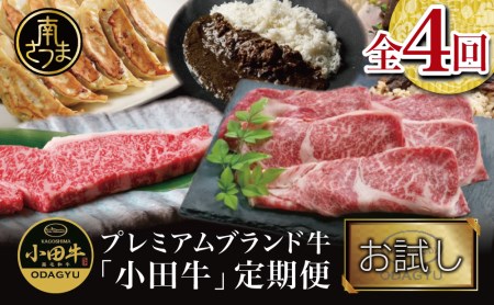 【全4回】 プレミアムブランド和牛「小田牛」定期便 （お試し） 鹿児島県産 黒毛和牛 ステーキ すき焼き ハンバーグ カレー 総菜 おかず レトルト 冷凍 小田畜産 南さつま市