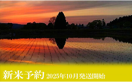 【新米予約・令和7年産】定期便３ヶ月：無洗米2kg●南魚沼しおざわ産コシヒカリ【2025年10月上旬より順次発送予定】