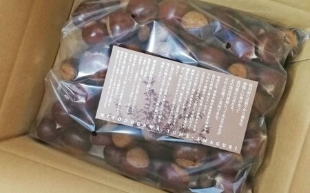 【ふるさと納税】＜まるっこ栗 秀品 夢甘栗 （約1kg）＞生栗 くり 和栗 国産 クリ【冷蔵】先行受付 おすすめ 旬 高知県 佐川町 仁淀川流域夢甘栗生産者組合 くり蔵 1つのイガに1粒のみ 希少　＜