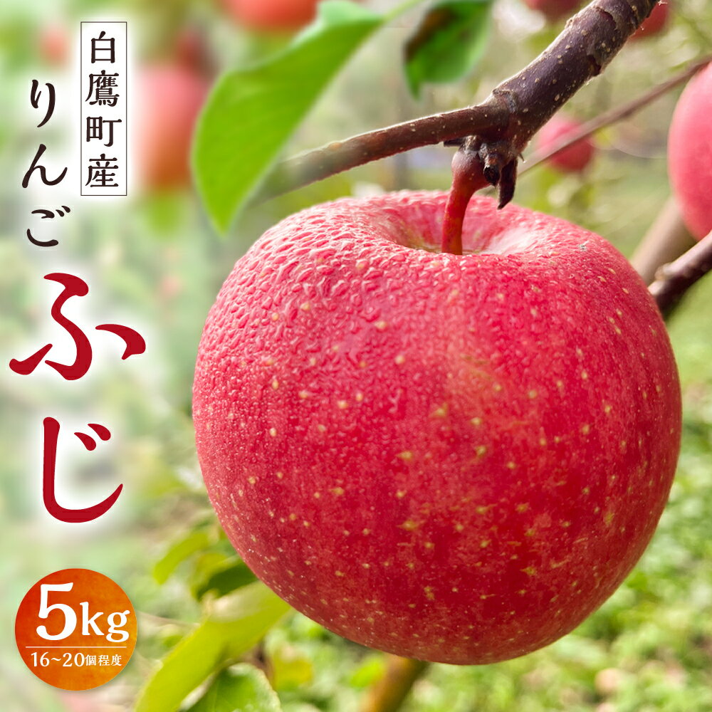【ふるさと納税】白鷹町産りんご (ふじ) 5kg りんご 林檎 果物 くだもの フルーツ 旬 ふじ 国産 山形県 白鷹町 送料無料 【2025年11月下旬-12月上旬発送予定】