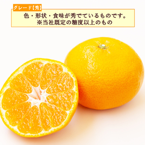 【予約受付】 秀品 寿太郎 みかん 3kg ミカン 蜜柑 mikan