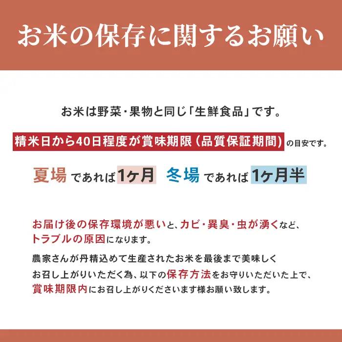 16-I106【6ヶ月連続お届け】新潟県胎内市産こしいぶき10kg（5kg×2袋）
