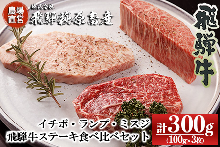 【年内順次発送】希少部位3種を食べ比べ！飛騨牛ステーキ食べ比べセット （イチボ 100g×1枚・ランプ 100g×１枚・ミスジ 100g×１枚）最高級 国産 牛肉 ブランド牛 和牛 年内配送 年内発送 年内に届く 年内お届け【22-22n】【冷凍】