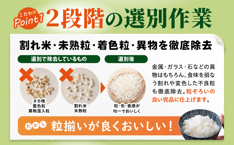 【2～7営業日以内に発送予定】国産ブレンド米 「米一膳」15kg お米 米 ご飯 炭水化物 主食 精米_M181-006-03-7E