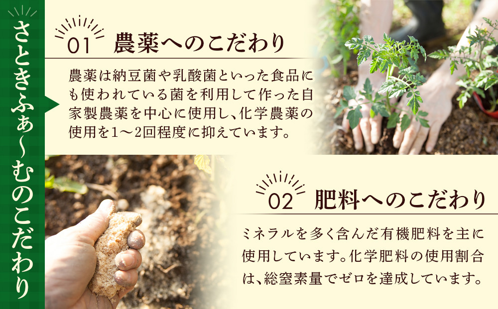 【先行予約】旭川のおまかせ野菜セット(トマト2kg＋3種以上)(2026年7月下旬発送開始)_05910