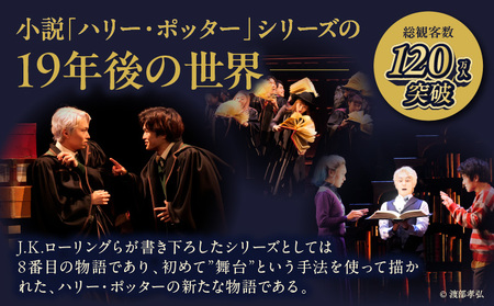 舞台『ハリー・ポッターと呪いの子』デジタルギフト ブラック:12,000円分