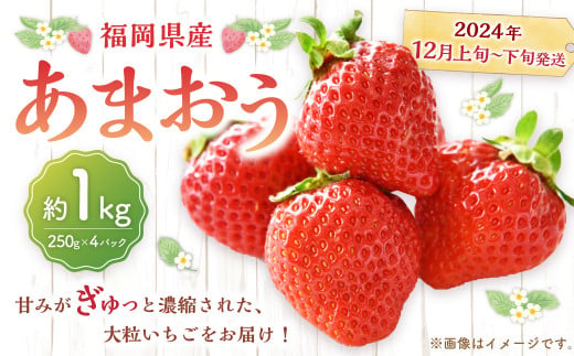 福岡県産 あまおう 1000g （250g × 4パック) 苺 イチゴ いちご 大粒 果物 フルーツ 福岡 福岡県 【2024年12月上旬～下旬発送予定】