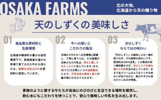 OSAKA FARMS ICE CREAM 詰め合わせ6個入りセット（ミルク・チョコ・イチゴ・抹茶・チョコチップ・ラムレーズン）