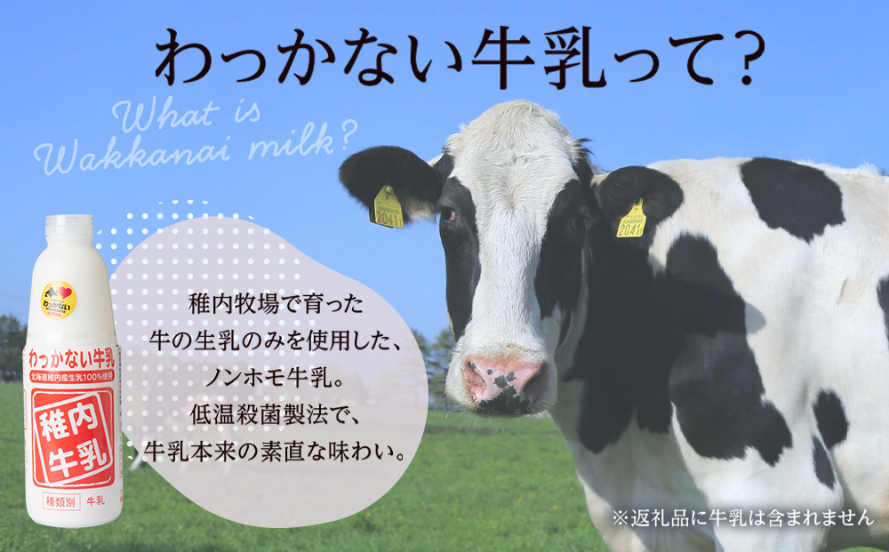 さいほく稚内練乳菓 10個入り×1箱