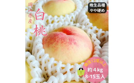 土-19　白桃 特秀 ロイヤル 大玉 晩生品種 4kg 岡山県産 桃 もも  御中元 ギフト 御礼 プレゼント 御礼 御祝 御供 果物 くだもの フルーツ
