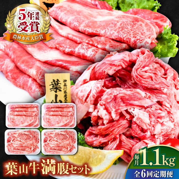 【ふるさと納税】【全6回定期便】葉山牛満腹セット（肩ロースすき焼用250g×2＋切落し300g×2）国産牛 牛肉 切り落とし 肩ロース 贅沢 セット たっぷり 大容量 1キロ超え 高級和牛 冷凍 黒毛和牛 国産 希少品種 小分け 横須賀 すき焼き ぎゅうにく【株式会社羽根】[AKAG043]