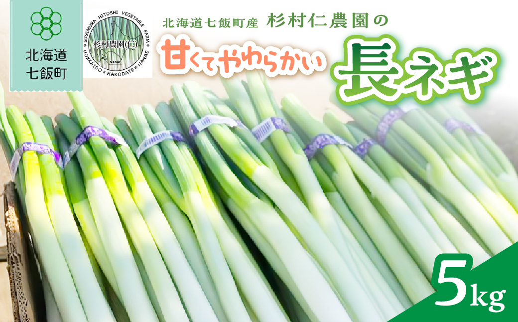 杉村仁農園の甘くてやわらかい長ネギ 5kg NACA001