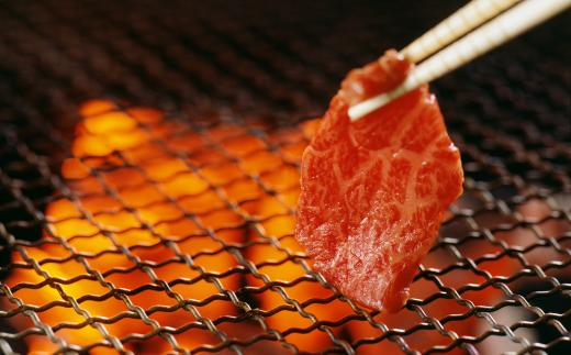 但馬牛 焼肉 食べ比べ五種盛 合計500g（イチボ100g ランプ100g ヒウチ100g シンタマ100g バラ100g）冷凍　発送目安：貴重な部位のためお届けに1〜2か月要する場合があります  0
