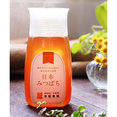 ふるさと納税 長野県 日本みつばちはちみつ(チューブ300g)