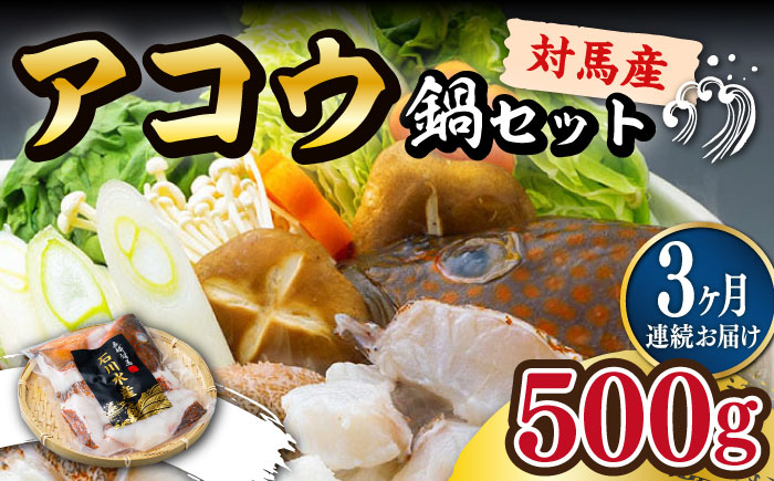 
            【全3回定期便】【 対馬産 】 アコウ ( キジハタ ) 鍋 セット 500g 《対馬市》【石川水産】 水炊き 高級 鮮度抜群 海鮮 [WAB015]
          