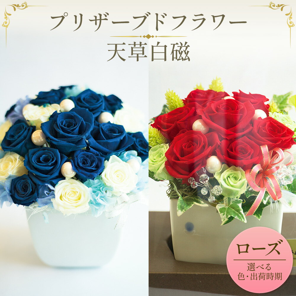 【ふるさと納税】プリザーブドフラワー 選べる 色 ブルーローズ レッドローズ 天草白磁《選べる出荷時期》熊本県 苓北町 花 はな フラワー ローズ バラ 薔薇 青 青薔薇 アレンジメント 内田皿山焼 花瓶 インテリア