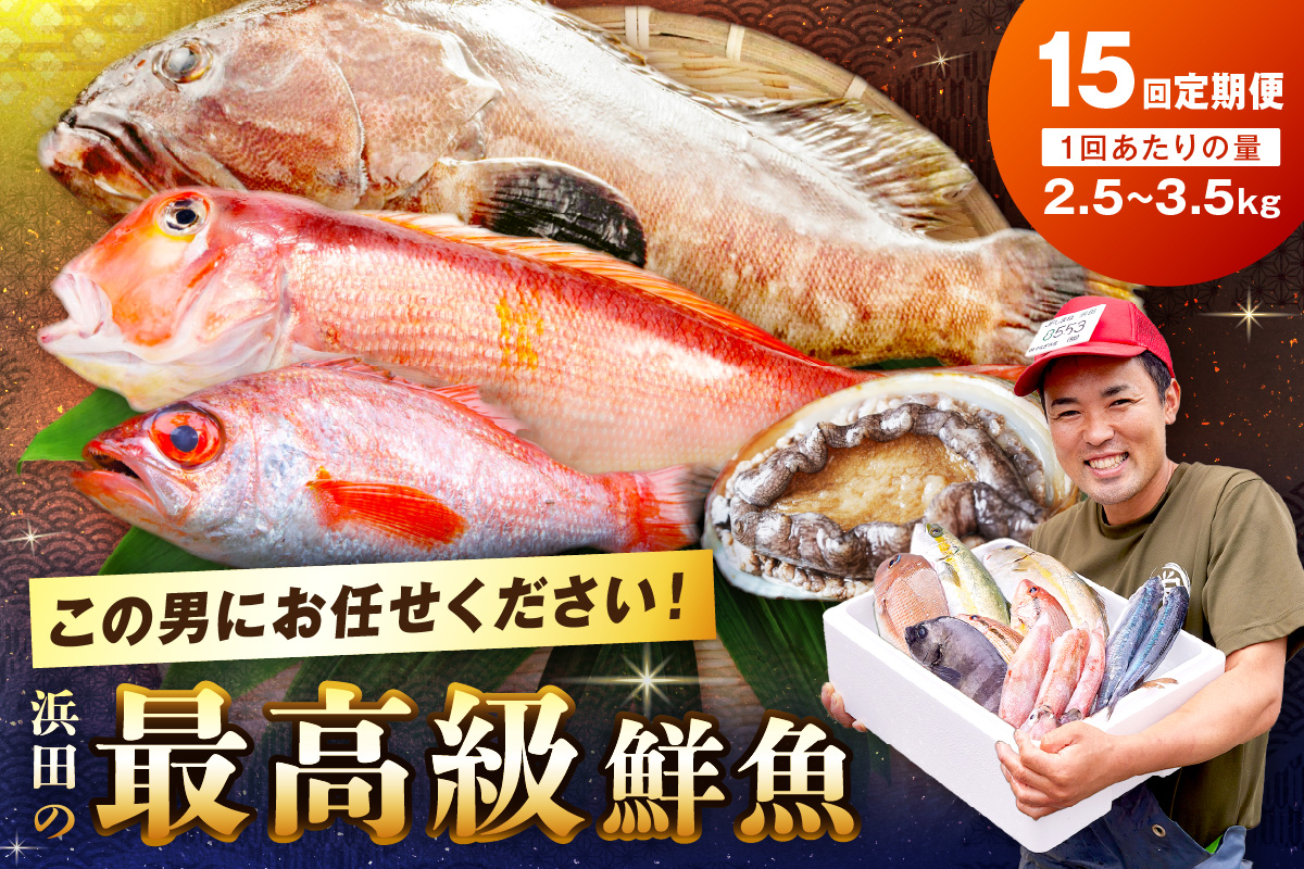 【定期便】どんちっち浜田【極上】の鮮魚 15回～最高級この男シリーズ～ 【2040】