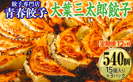 【定期便12ヶ月】餃子専門店青春餃子　大葉三太郎餃子15個入り×3パック 45個（計540個）