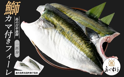 
                  獅子島産 百年漁師の鰤 カマ付きフィーレ２パック (１匹分) 【島のごちそう】 gochi-7039R8
                