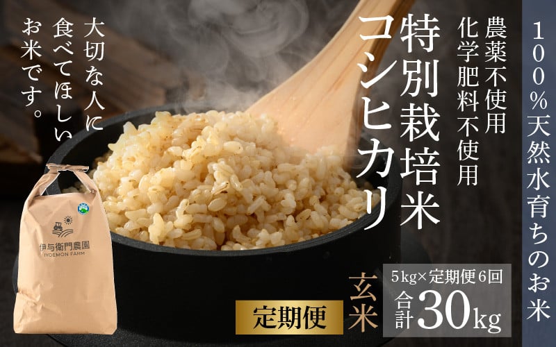 
【令和6年産 新米】《定期便6回》伊与衛門農園のコシヒカリ 玄米 5kg （計30kg）特別栽培米 化学肥料不使用 ＜温度と湿度を常時管理し新鮮米を出荷！＞／ 高品質 鮮度抜群 福井県あわら産 ブランド米 お米
