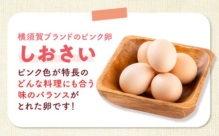 【全3回定期便】【数量限定50セット】安田養鶏場の卵 しおさい 30個入り 横須賀市 産地直送 割れ保証付き たまご 黄身 濃厚 卵 玉子 タマゴ 鶏卵 【安田養鶏場】[AKHN008]