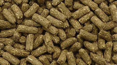 デイリープレミアム マイラビット 《メンテナンス》 810g × 2袋 うさぎ 小動物用フード ペットフード タンポポ オオバコ 桑の葉  乳酸菌配合 [BU038sa]