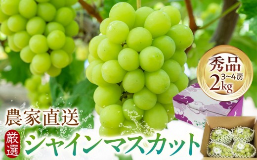 
                  シャインマスカット 2kg 箱 農家直送 厳選 持田農園 2026年9月下旬以降発送【シャインマスカット 葡萄 ぶどう ブドウ 果物 くだもの フルーツ マスカット 島根県 出雲市 おすすめ 人気】
                
