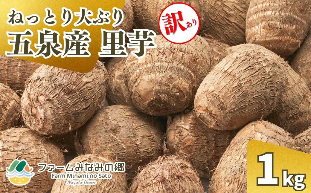 
                  【令和8年産先行予約】【訳あり】五泉産　大玉さといも（2L以上）1㎏ 新潟県 五泉市 ファームみなみの郷　
                