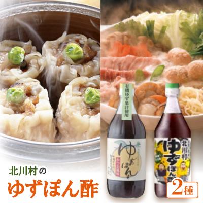 ふるさと納税 北川村 北川村のゆずぽん酢 2種(500ml×各1本) 計2本セット