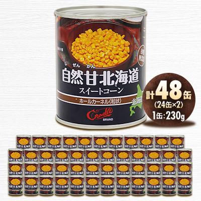 ふるさと納税 伊達市 【北海道の契約農家で栽培】自然甘 ホールコーン　230g×48缶(24缶×2ケース)　とうもろこし |  | 01