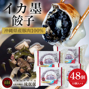 【琉みんみん】沖縄県産イカスミ餃子　4パック 　48個入り