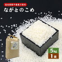 【ふるさと納税】ながとのこめ こしひかり 白米 5kg×1袋 コシヒカリ 精米 栽培期間中農薬不使用 長門市 令和6年度産 (10055)