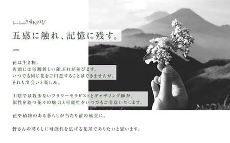 お花（生花）の6回定期便 花 定期便 生花 お花 鳥取県 倉吉市