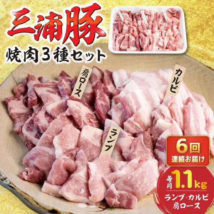 【6回定期便】 豪華 三浦豚 1.1kg 焼肉セット 肩ロース カルビ ランプ / 恵那市 / あづま精肉店 [AUDL019]