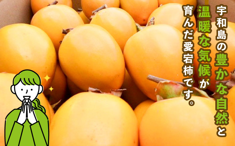 訳あり 渋柿 愛宕柿 約 10kg スーパー山田屋 先行予約 不揃い kaki かき あたごがき カキ フルーツ 果物 くだもの 訳アリ 訳有り わけあり ご家庭用 規格外 秋の味覚 新鮮 旬 産地直