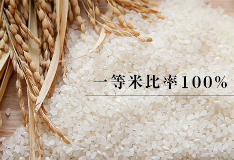 高津川の恵み 特別栽培米ヘルシー元氣米5kg×2袋(10kg)(令和7年産)